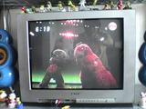 DSC00294.JPG