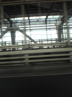 DSC01061.jpg