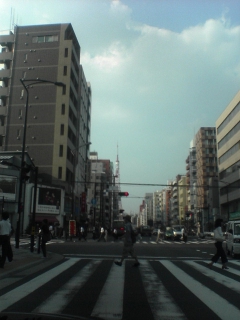 DSC01062.jpg
