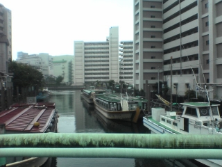 DSC01072.jpg