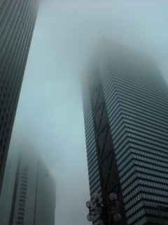 DSC01089.jpg