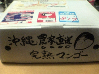 mango01.jpg