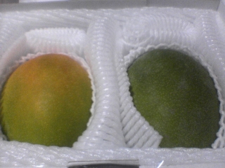 mango02.jpg