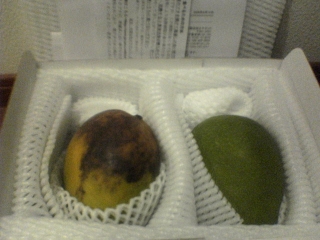 mango03.jpg